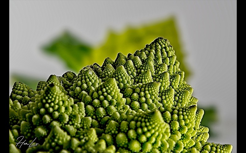 Romanesco (1)