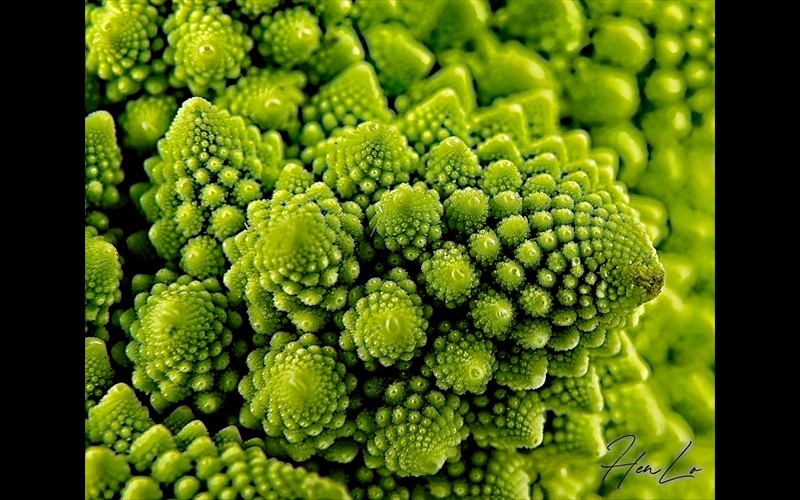Romanesco (2)